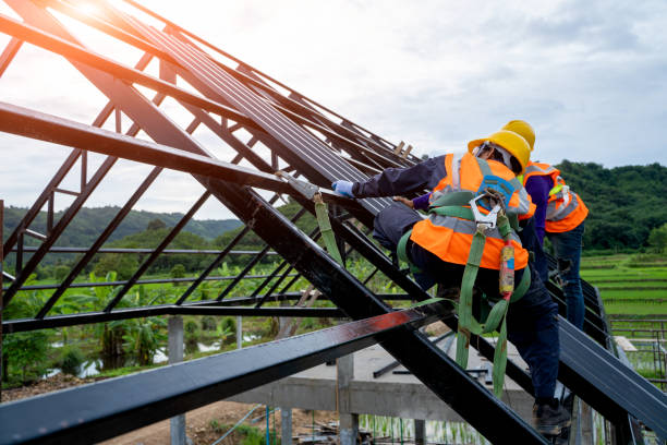 Best Storm Damage Roof Repair  in Tice, FL