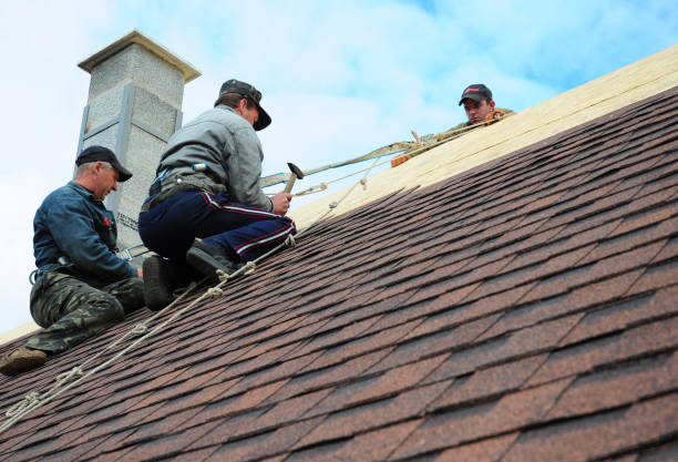 Best Emergency Roof Repair  in Tice, FL